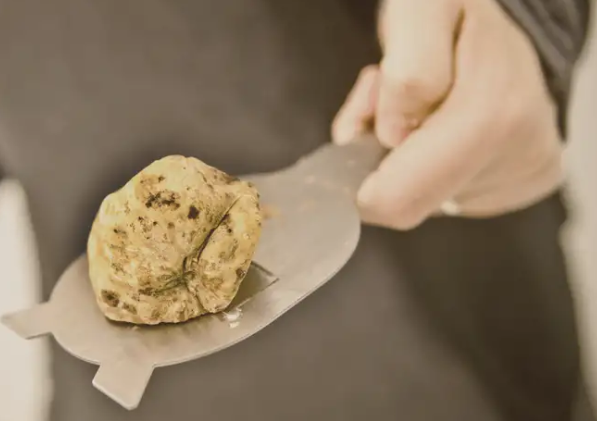 Saving Italy’s White Gold