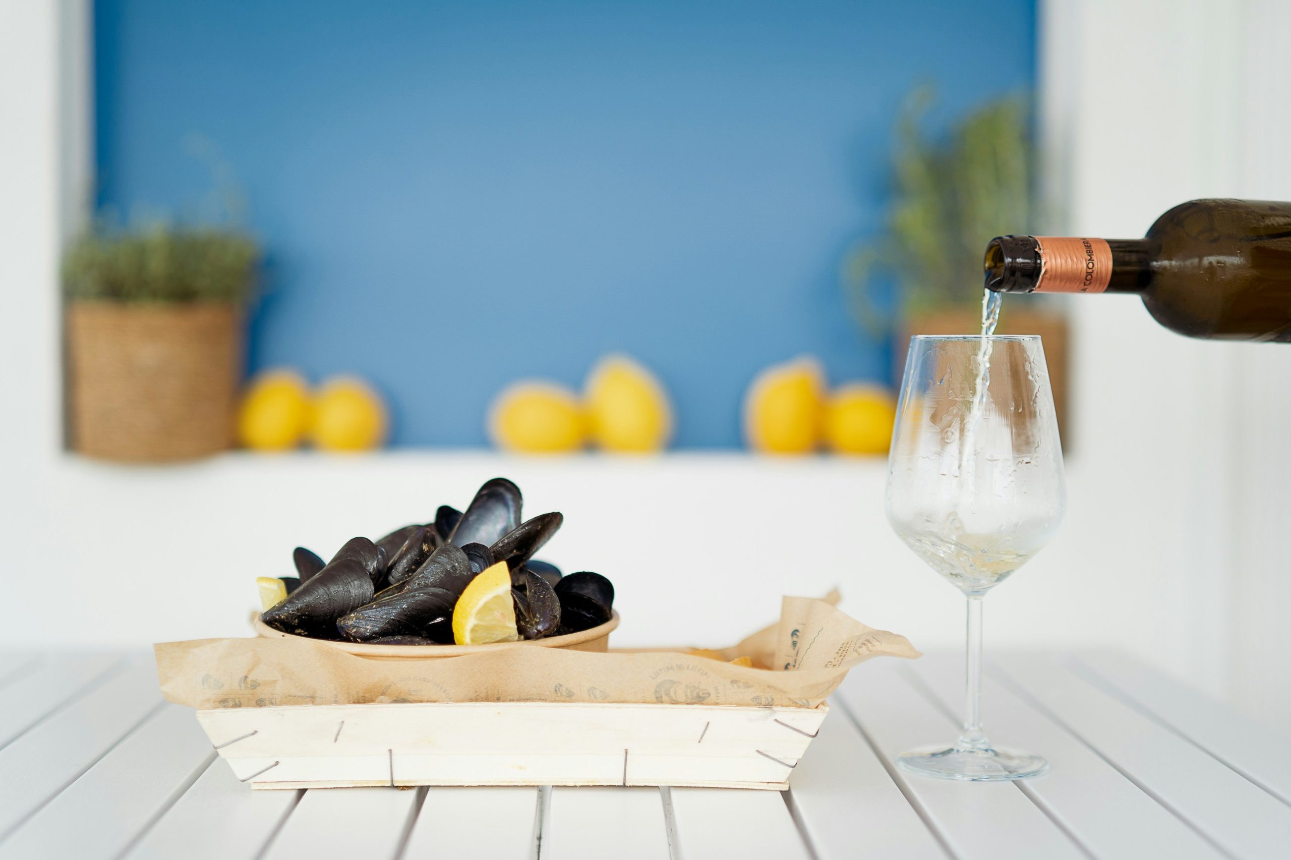 Italy’s dying breed of wild-mussel divers